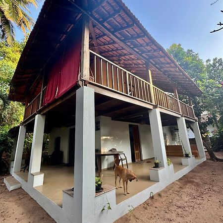 The Sunset Chalet Anjuna Exterior photo