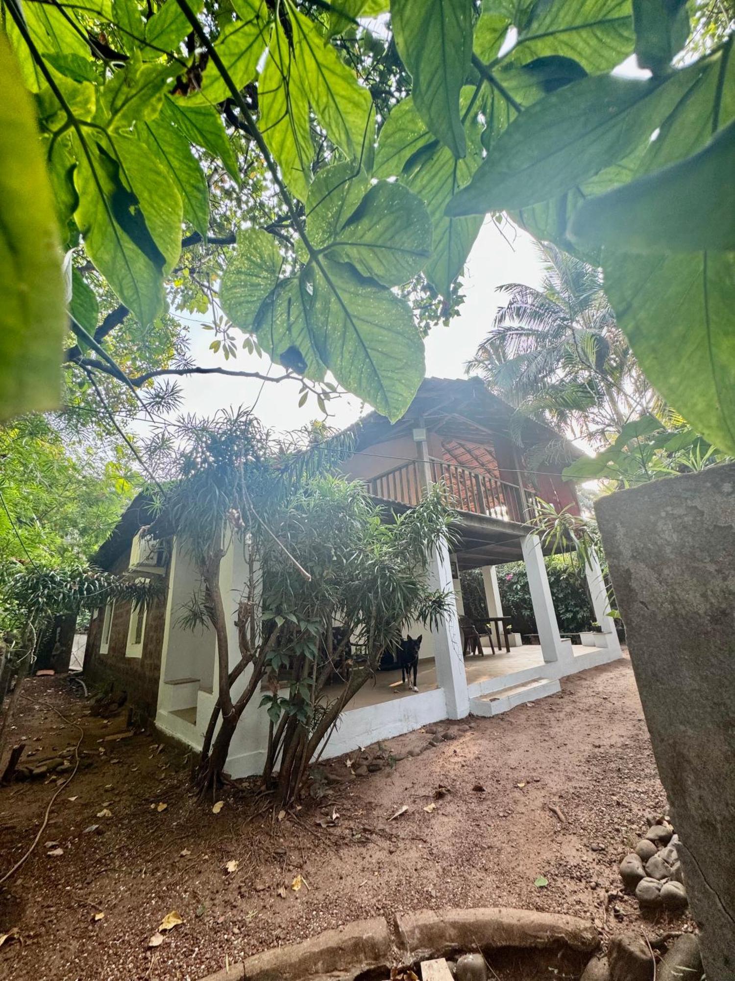 The Sunset Chalet Anjuna Exterior photo